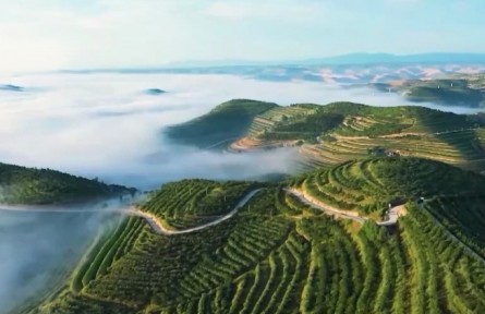 【奮進新征程 建功新時代·非凡十年】奮力譜寫現(xiàn)代化美麗新寧夏壯麗篇章