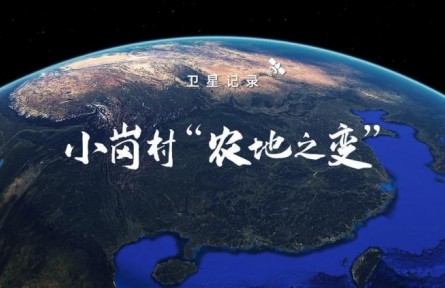 衛(wèi)星記錄小崗村“農地之變”
