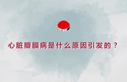 健康問答 | 心臟瓣膜病是什么原因引發(fā)的？如何精準治療？