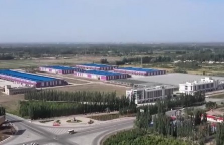 新疆：多舉措保障農產品采收銷售