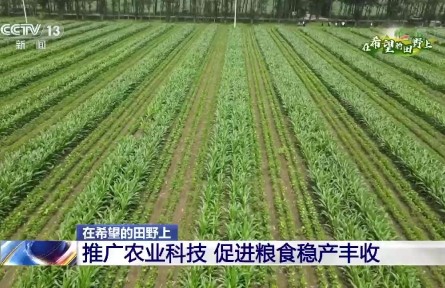 數(shù)字信息采集、肥水一體化自動灌溉……這些智慧農(nóng)業(yè)設(shè)施幫助農(nóng)民抗旱保豐收