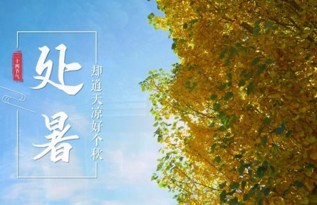 處暑，卻道天涼好個秋
