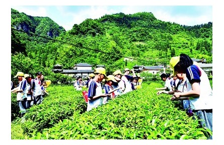 “耕”以強體，“讀”以潤心——我國耕讀教育開展情況調(diào)研報告