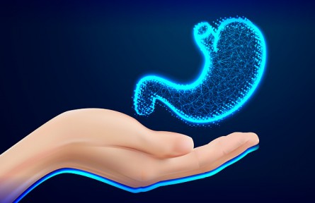 胃越撐越大、越餓越小是真的嗎？