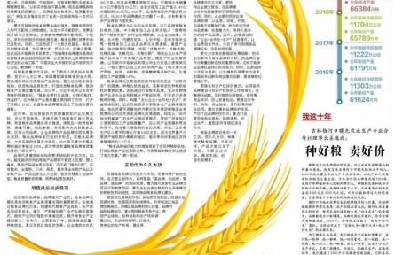 加速品牌化建設，推動糧食產(chǎn)業(yè)高質量發(fā)展