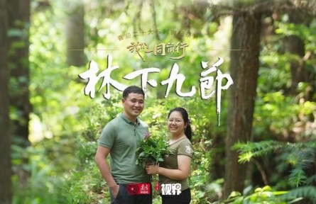 林更綠，民更富！老兵化作“新農(nóng)人”，賦能粵北南嶺林下生態(tài)富民路