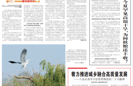 今夏罕見高溫干旱，為何秋糧還豐收？