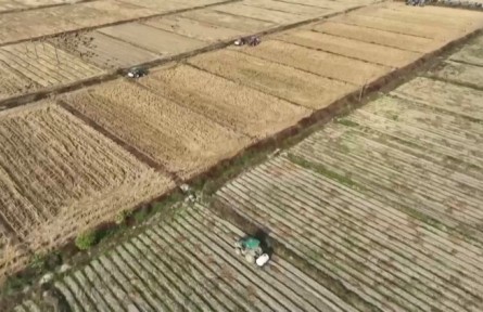 江西：開展農(nóng)田建設(shè)和土壤修復(fù) 夯實糧食耕作基礎(chǔ)