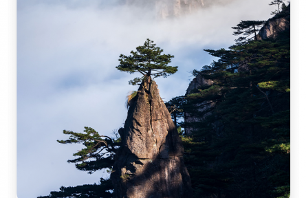 王勃：老當(dāng)益壯，寧移白首之心；窮且益堅(jiān)，不墜青云之志