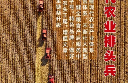 瞭望·治國理政紀(jì)事｜爭(zhēng)當(dāng)現(xiàn)代農(nóng)業(yè)排頭兵