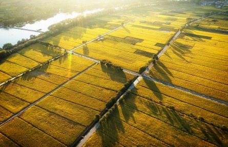 科技名詞 | 灌區(qū)  irrigation district，irrigation area