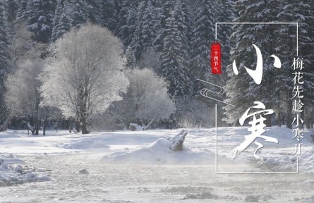 小寒，梅花先趁小寒開