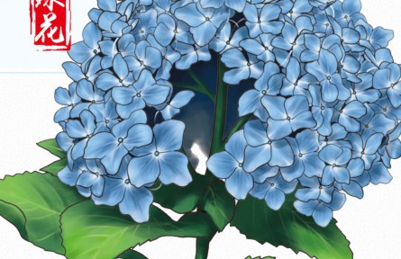 物種故事 | 繡球花：一花開出百花風采，“花團錦簇”非我莫屬