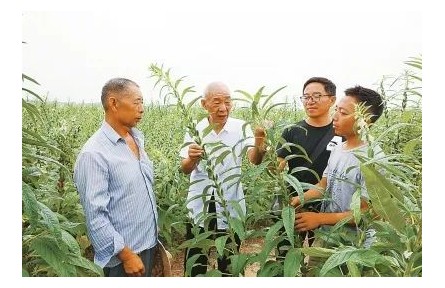 “中國好人”劉世揚(yáng)：我這輩子，就做育種一件事