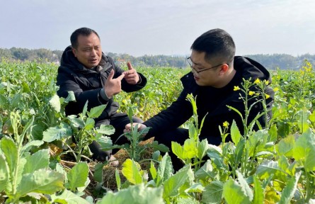 “冬閑人忙”放手干——湖南新型糧油生產(chǎn)經(jīng)營(yíng)主體新春走訪(fǎng)見(jiàn)聞