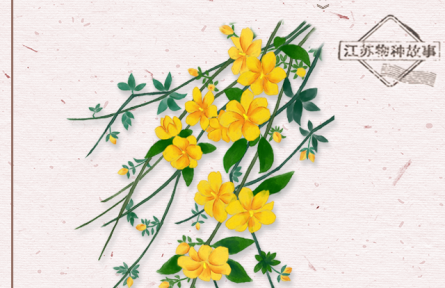物種故事 | 迎春花：迎得春來非自足，百花千卉共芬芳