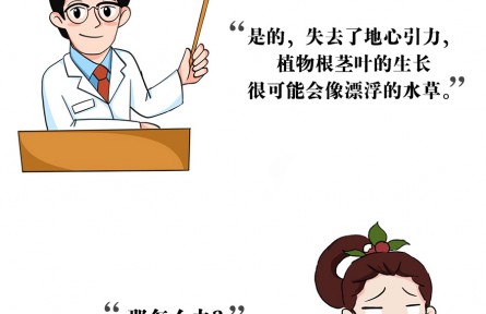 上天入地，沒有什么能阻止中國人種菜的腳步！
