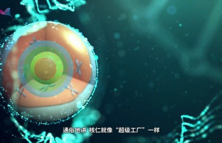 科普 | 上?？茖W(xué)家發(fā)現(xiàn)核糖體RNA“超級工廠”的運行新機制