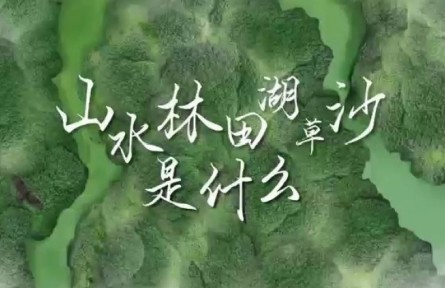 世界地球日 | 山水林田湖草沙是什么？