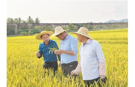 40年南北遷徙，育種人無問西東——記江蘇里下河地區(qū)農(nóng)業(yè)科學(xué)研究所水稻育種團(tuán)隊(duì)