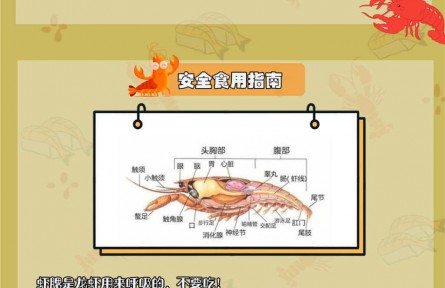 小龍蝦自帶寄生蟲？體內(nèi)藏著重金屬？吃小龍蝦原來有這些講究