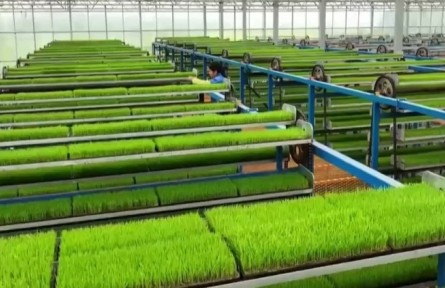 江西：做活“土特產(chǎn)” 激發(fā)鄉(xiāng)村特色產(chǎn)業(yè)動能