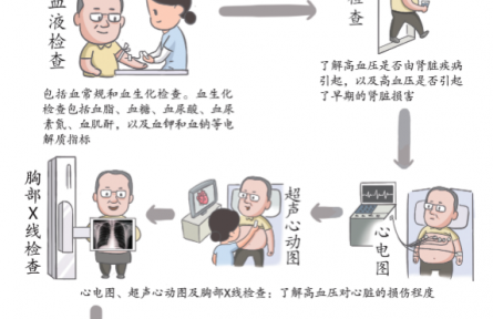 健康問(wèn)答 | 高血壓患者要做哪些必要的檢查？