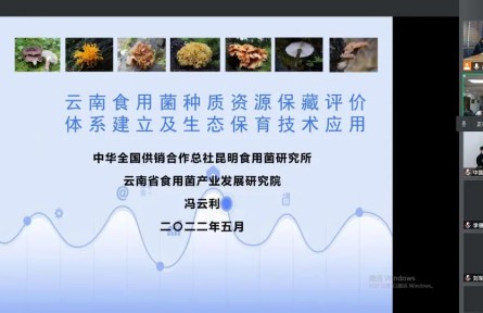 中華全國(guó)供銷合作總社昆明食用菌研究所“云南食用菌種質(zhì)資源收集保存、鑒定評(píng)價(jià)和生態(tài)促繁技術(shù)應(yīng)用”成果評(píng)價(jià)公告【2022（47號(hào)）】