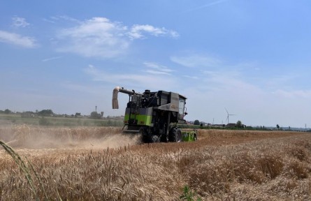 開心、安心、放心——山西小麥主產(chǎn)區(qū)夏收見聞