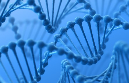 科技名詞 | 酵母人工染色體 yeast artificial chromosome，YAC