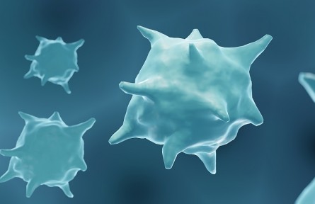 科技名詞 | 腫瘤壞死因子  tumor necrosis factor，TNF