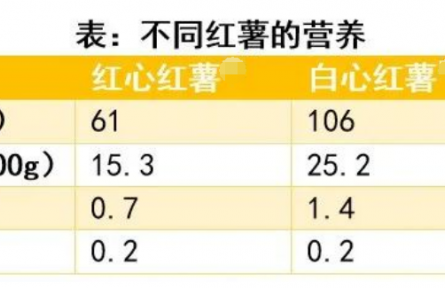 辟謠 |“吃烤紅薯能減肥”“烤紅薯致癌”，到底哪個是真的？