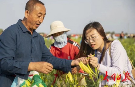 山西大同黃花產(chǎn)業(yè)入選知識(shí)產(chǎn)權(quán)強(qiáng)國(guó)建設(shè)典型案例