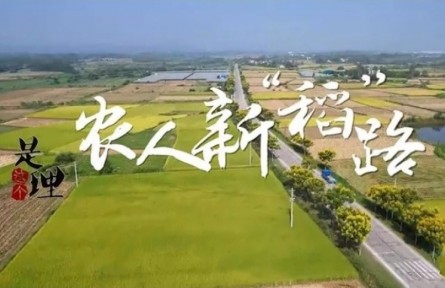 《是這個理》：農人新“稻”路