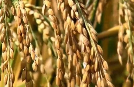 270億、200余億、15億，通過數(shù)據(jù)看經濟……