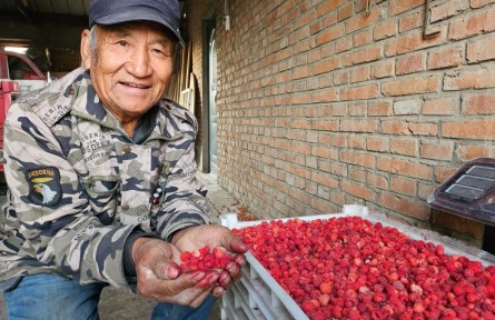 黑龍江甘南：?？h共建 為農(nóng)業(yè)插上科技的翅膀