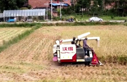 福建：貫徹落實“三農(nóng)”工作決策部署 有力有效推進(jìn)鄉(xiāng)村全面振興