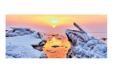 修復(fù)鹽堿地 守護紅海灘