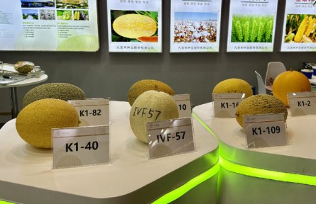 第三屆三亞國(guó)際種業(yè)科技博覽會(huì)：新品種、新技術(shù)、新設(shè)備展現(xiàn)種業(yè)科技新成果