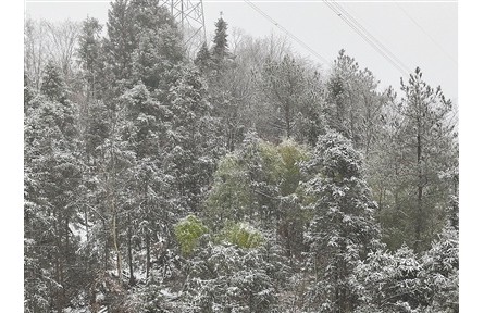 未來兩天將進入本輪雨雪過程最強時段 多地多部門合力應(yīng)對低溫雨雪冰凍天氣