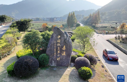黨建引領(lǐng) 產(chǎn)業(yè)做強(qiáng)——“中國扶貧第一村”福建赤溪鄉(xiāng)村振興蹲點觀察