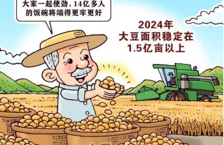 新華鮮報丨中國穩(wěn)糧新看點！ “金豆豆”1.5億畝以上