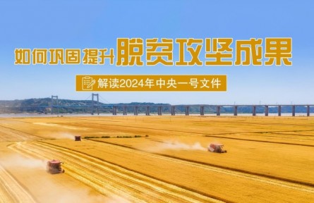 專家快問快答：如何鞏固提升脫貧攻堅成果？