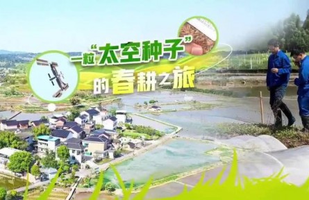 一?！疤辗N子”的春耕之旅