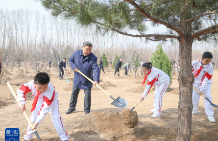 習(xí)近平在參加首都義務(wù)植樹活動時強調(diào)  全民植樹增綠 共建美麗中國