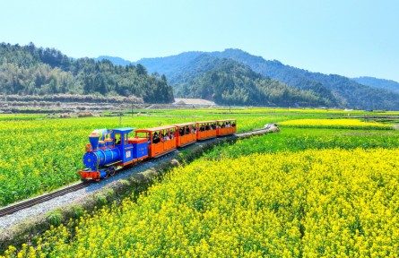 江西：油菜花助力“美麗經濟”