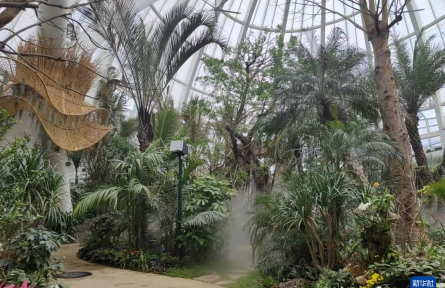 成都世園會(huì)：“神奇植物”在哪里？