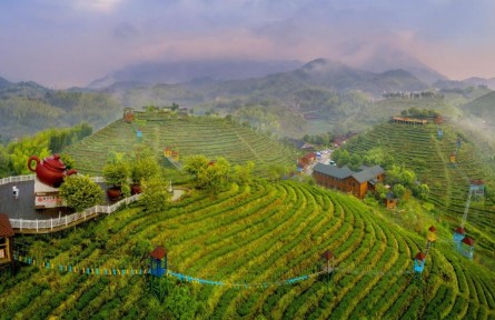福建三明：品牌賦能，讓高質(zhì)量發(fā)展成色更足