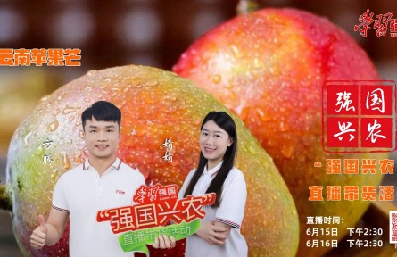 盛夏炎炎，鮮果相伴，“強國興農(nóng)”直播帶貨活動繼續(xù)與您相約
