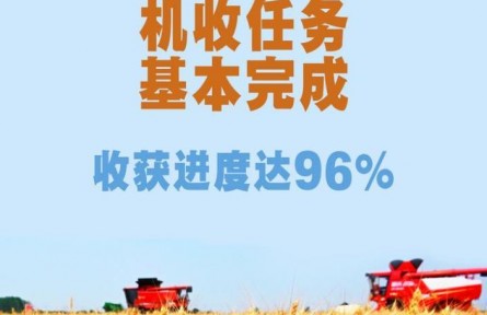 端牢飯碗！全國(guó)“三夏”小麥機(jī)收任務(wù)基本完成